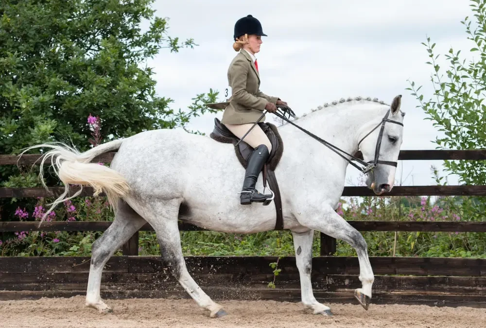 girl riding horse