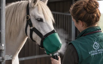 Affordable Horse Nebulisers: A New Option for Coughing Horses This Winter