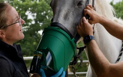 Affordable Horse Nebulisers: A New Option for Coughing Horses This Winter
