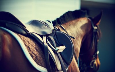 The importance of good fitting tack: