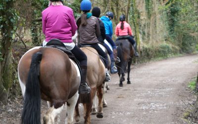 Stronger Horses Start with Hacking