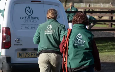 Choke in Horses: Why it happens? What should you do?